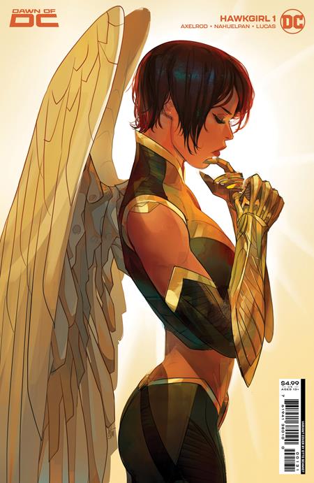 HAWKGIRL #1 (OF 6) COVER C OTTO SCHMIDT CARD STOCK VARIANT